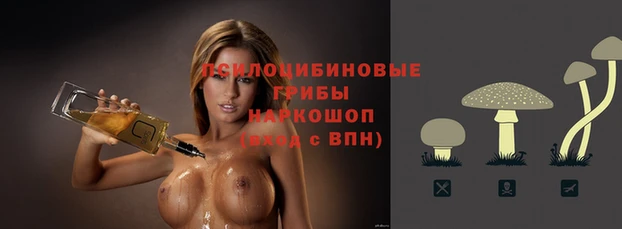 спиды Баксан