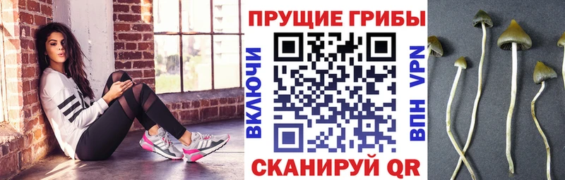 Псилоцибиновые грибы мухоморы  мега зеркало  Липецк 